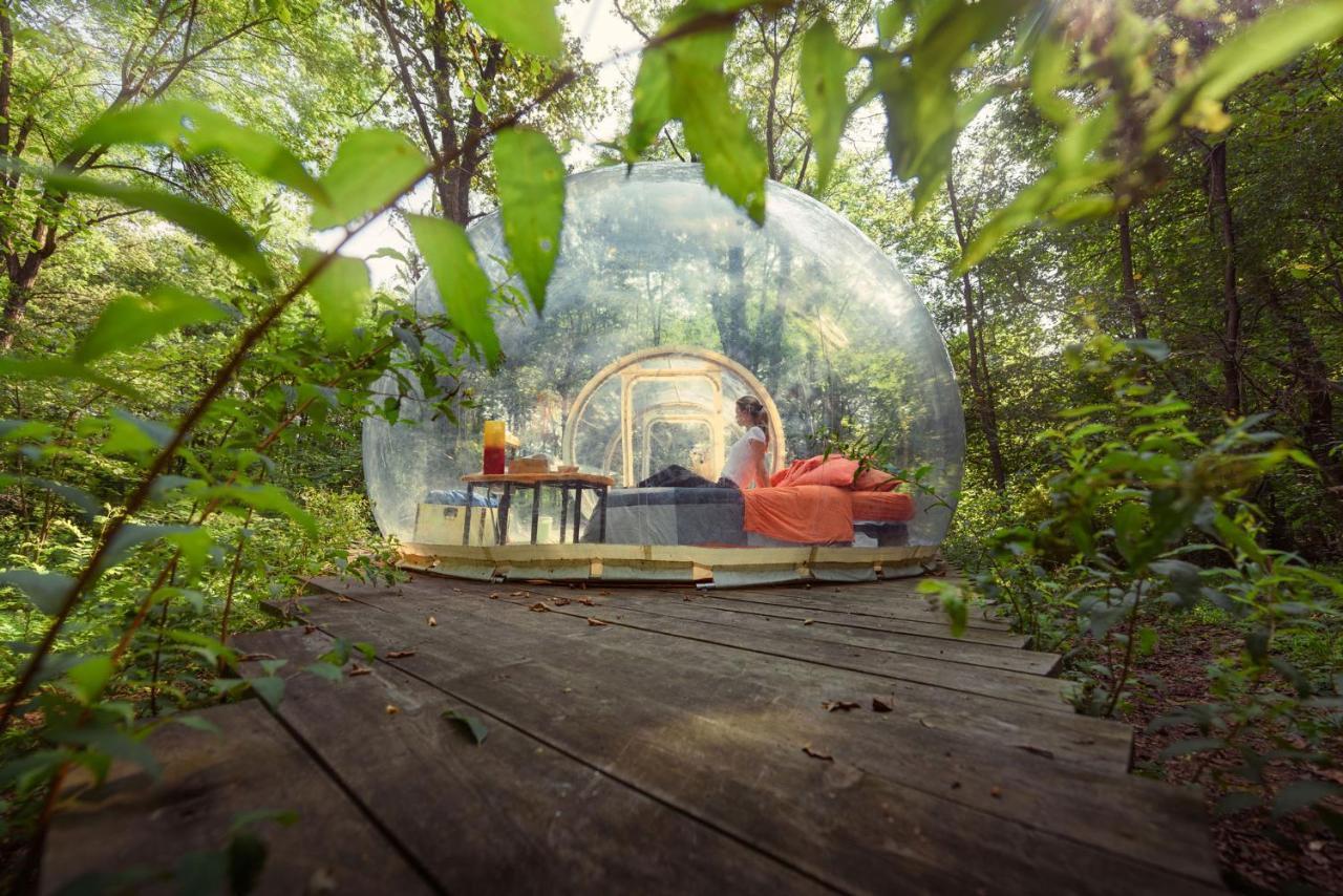 Camping Future Is Nature Playground Sala Biellese ภายนอก รูปภาพ